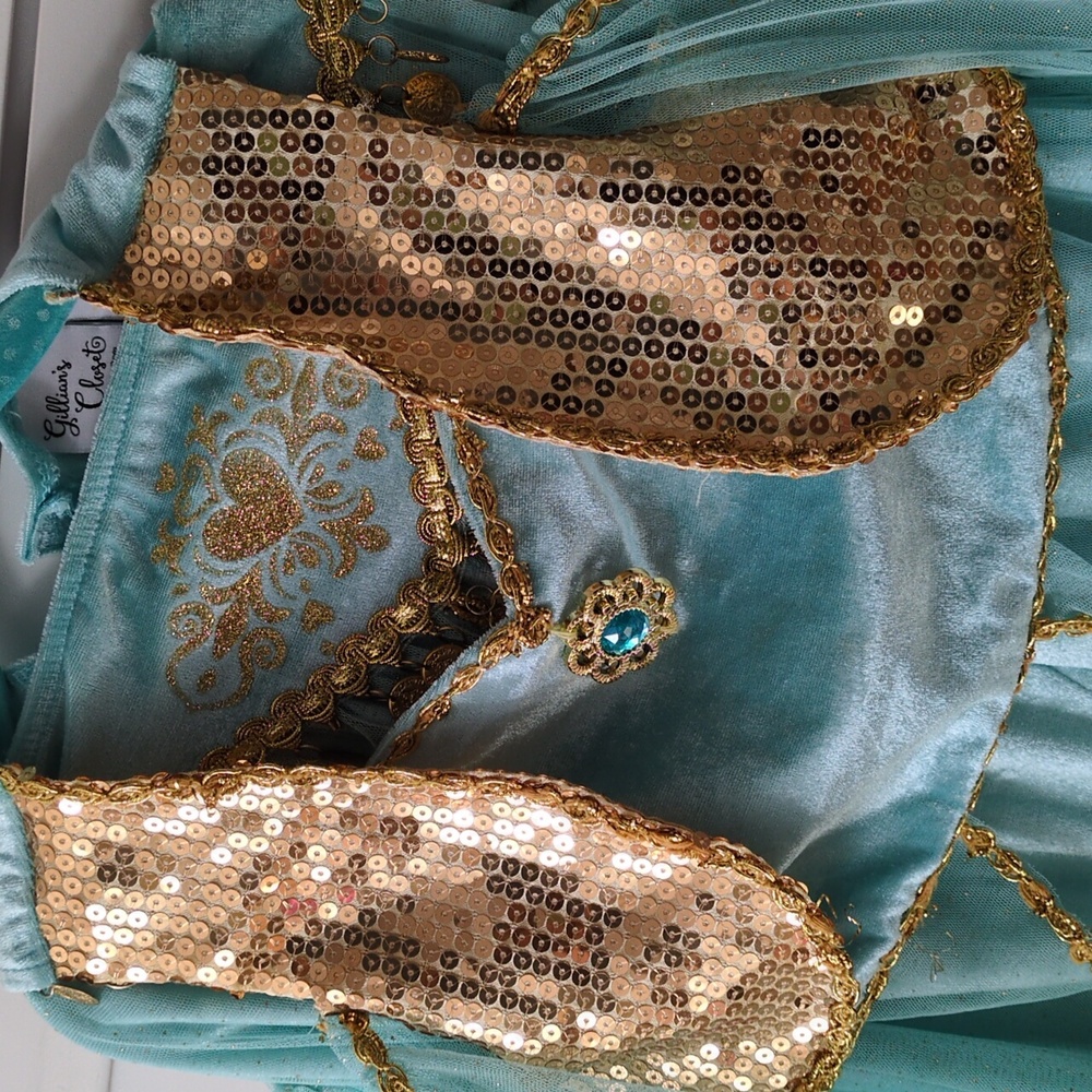 Jasmine costume from Aladdin (wig, headband , pants and top), size 5 to 6